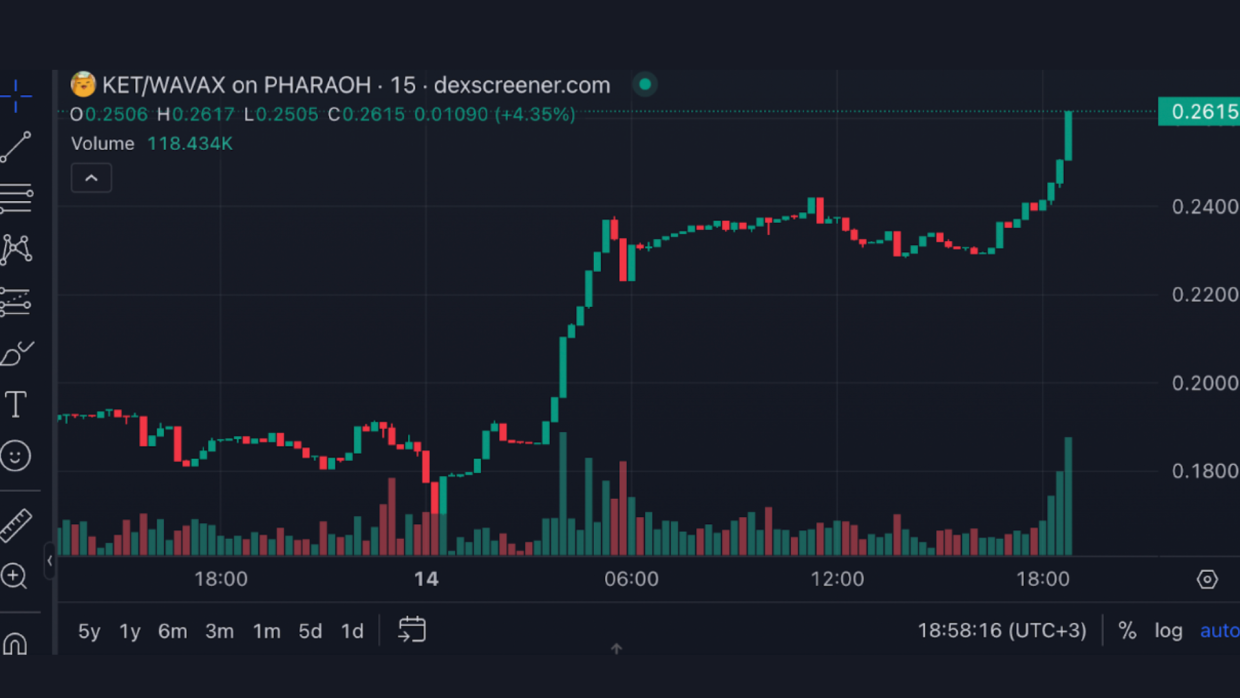 Yellow Ket is an AI-driven DAO optimizing multi-chain transactions and profits.